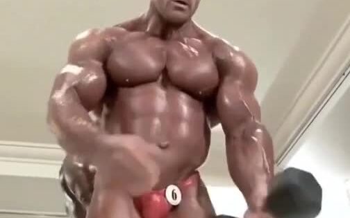 Nr 6