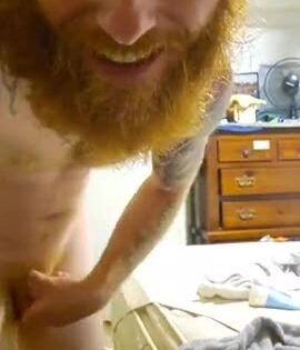 Trade Straight Bearded Ginger